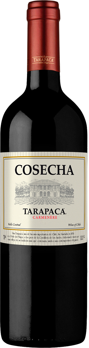 Cosecha tarapaca carmenere